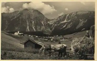 Landwirtschaft, Echtfoto, Bergwang i. Tirol, * ca. 1950