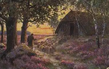 Schafe Künstlerkarte o 1916