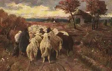 Schafe Künstlerkarte Berger o 17.4.1930