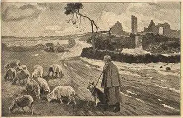 Schafe Künstlerkarte Willy Nitzsche * ca. 1920
