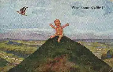 Storch und Baby Künstlerkarte "Wer kann dafür" gebr. um 1920