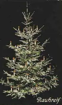 Weihnachtsbaum mit Kerzen FEldpost 58. Infanterie Division o 12.1.1916
