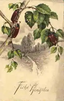 Pfingsten Maikäfer * ca. 1930