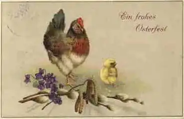 Huhn mit Küken Osterkarte o 10.4.1914