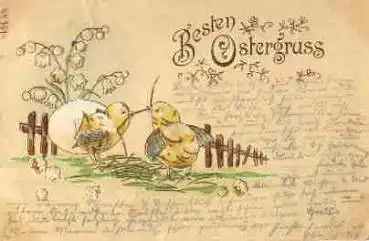 Ostern schlüpfende Küken Maiglöckchen Goldschnittprägelitho o 14.4.1900