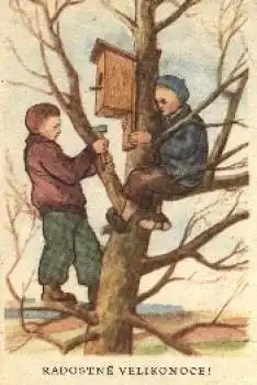 Kinder Künstlerkarte Baum mit Vogelhaus o 1953