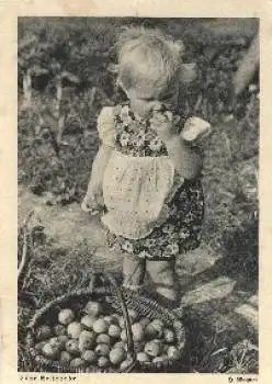 Mädchen Äpfel Kostprobe gebr. ca. 1940