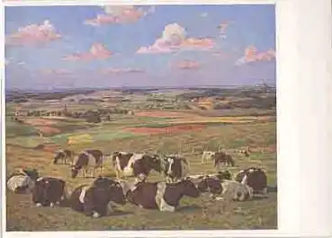 HDK140 Willy Tag Kühe auf der Weide Photo-Hoffmann *um 1940