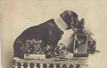 Dackel mit Spiegel o 14.6.1907