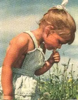 Mädchen in Blumenwiese o 23.7.1963