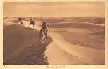 Kamel Reiter in der Wüste (Arabien) * ca.1930