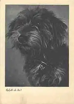 Dackel Gefall ich dir *ca.1940