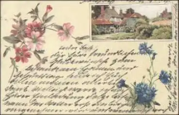 Kornblumen o 10.3.1901