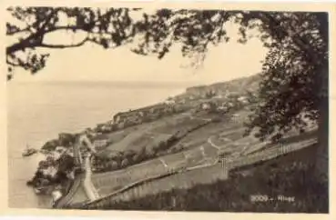 Rivaz * ca. 1930
