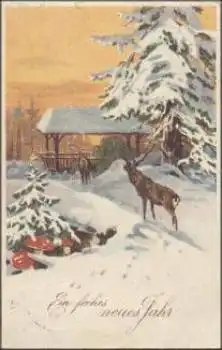 Fliegenpilze Neujahrskarte, Serie Nr. 8905, o 31.12.1920