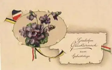 Patriotika 1.WK Veilchen, schwarz-weis-rot o 05.11.1917