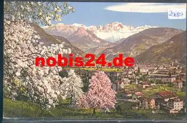 Bolzano im Frühling *ca. 1910