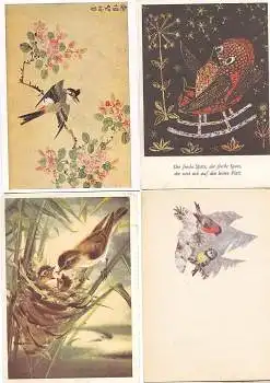 Vögel Spatz Meise 4 Künstlerkarten  * ca. 1970