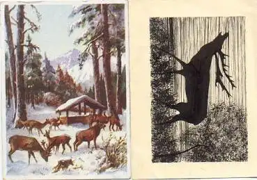 Rotwild Künstlerkarte Pohl, 2 Karten, * ca. 1960
