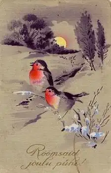 Rotkehlchen Künstlerkarte o 26.12.1928