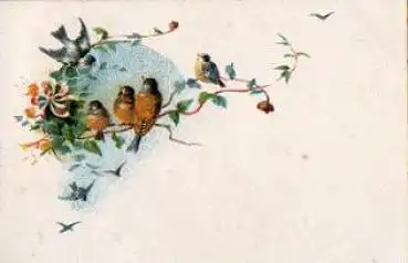 Singvögel Künstlerkarte o 27.7.1913