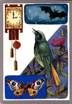 Nachtigall mit Fledermaus Schmetterling * ca. 1970