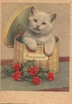 Weisse Katze mit Nelken Künstlerkarte o 3.12.1960