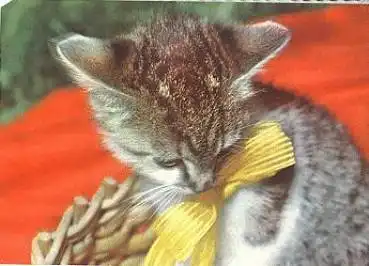 Katze mit Schleife * ca. 1980