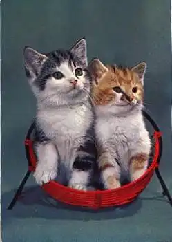 Katze im Korb gebr. ca. 1972
