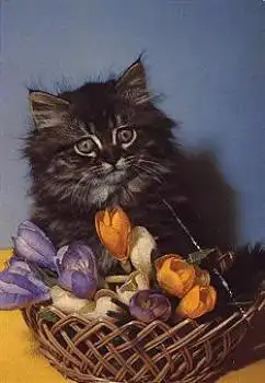 Katze mit Krokusskorb, Blumen, gebr. ca. 1970
