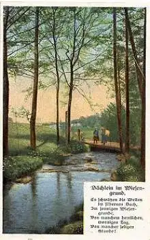 Bächlein im Wiesengrund gebr. 21.3.1917