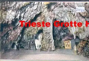 Trieste Ufficio delle R.R. Nr. 894 Grotte Höhle *ca. 1930