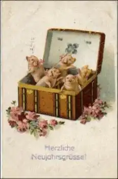 Schweine im Koffer o 31.12.1918