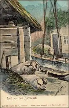Schweine Künstlerkarte Friedrichs * ca. 1900