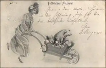 Schwein in Schubkarre, o 31.12.1903