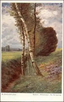 Rüdisühli M. "Birken im Frühling" Künstlerkarte  * ca. 1930