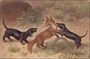 Hunde Dackel Fuchs Künstlerkarte Sperlich * ca. 1920
