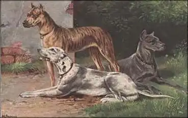Doggen Hund Künstlerkarte Schönian *ca. 1920