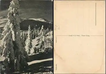 Norge Jonskuten *ca.1940