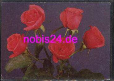 Kunstler Ak Handgemalt Blumen Rosen In Rosa Und Rot Nr 10335262 Oldthing Ansichtskarten Kunstlerkarten Signiert