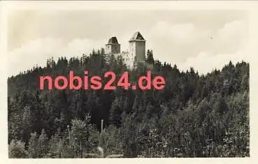 Sumava Susicko Hradu Burg o 1955