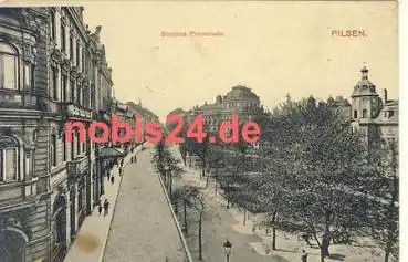 Pilsen Smetana Promenade o ca.1920