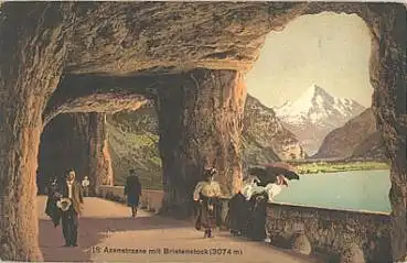 Axenstrasse mit Birkenstock o 8.8.1908