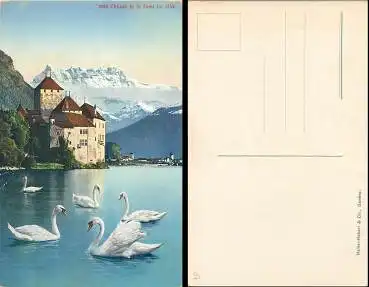 Chillon et La Dent du Midi Schwäne *ca.1920