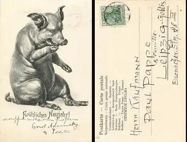 sitzendes Schwein Fröhliches Neujahr o 31.12.1906