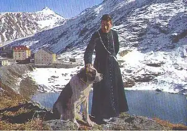 Bernhardiner Hund * ca. 1980