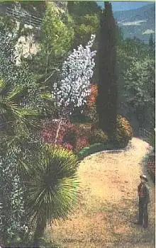 Merano Meran Südtirol Vegetationsbild  * ca. 1920