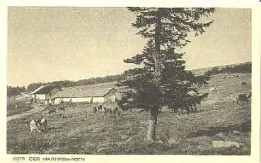 Martinswagen Elsaß * ca.1920