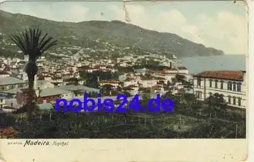 Madeira Funchal *ca.1920