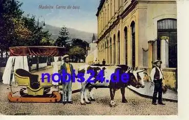 Madeira Carro de bois o 1930